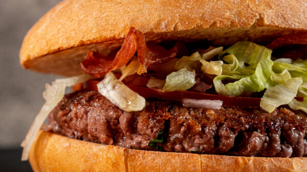 HAMBURGUESA 220 G  S.E. - Imagen 4