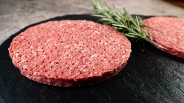 HAMBURGUESA 225 G S.E. PLANA - Imagen 3