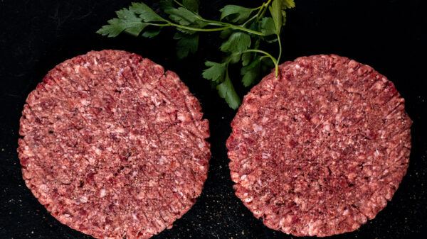 HAMBURGUESA FUSION BACON y CEBOLLA 180G - Imagen 2