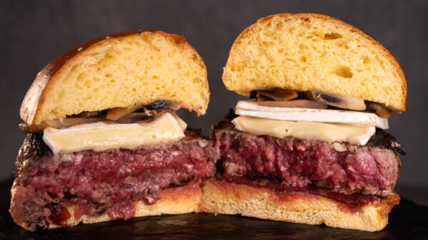 HAMBURGUESA VACUNO MADURADA - Imagen 5