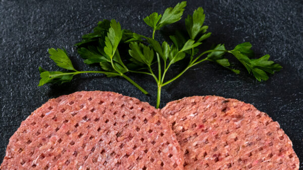BURGER VACUNO-CERDO GRILL 60g